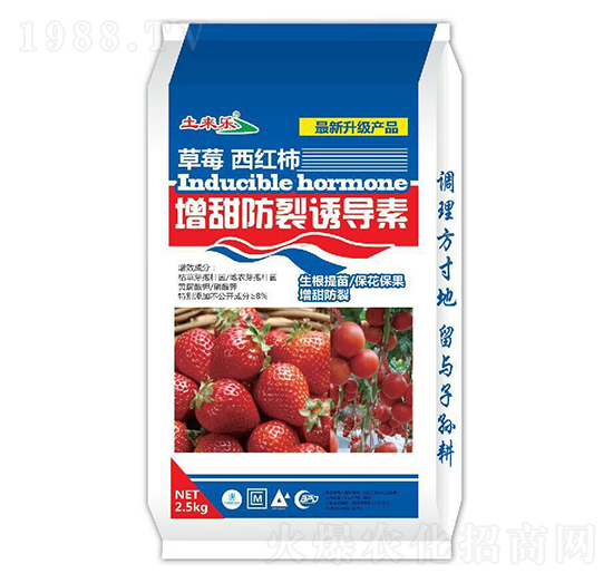 ��ݮ���t����������T��(d��o)��-����(l��i)��