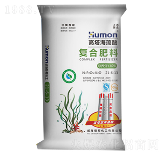 ����������ͺϷ���21-6-13-����