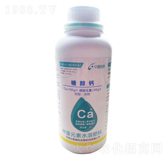 �Ǵ��}-���ظ߿�