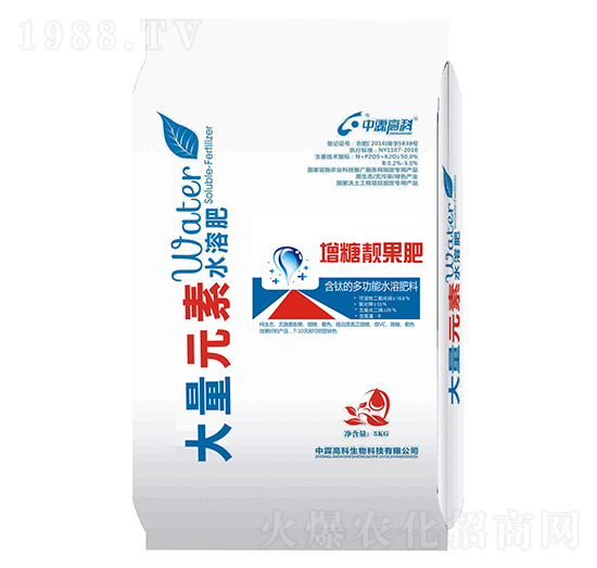 �����n����-���ظ߿�