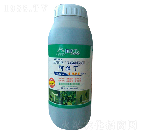 �������羫�A��-������