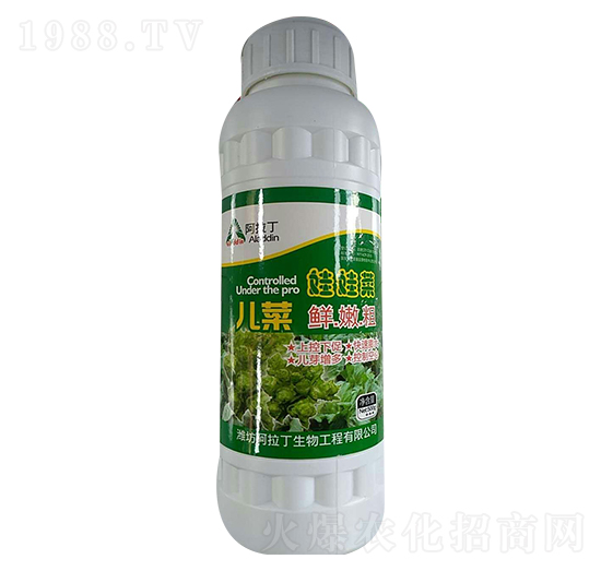 ���޲ˌ��÷�-������