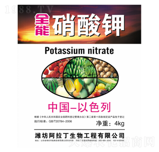 ȫ�������-������