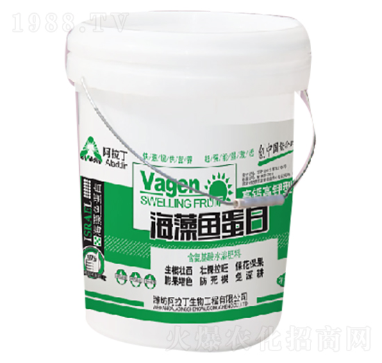 �����~����-������