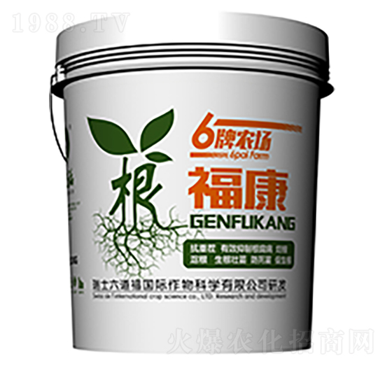 ������-������