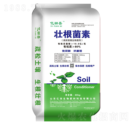 �Ѹ�����-�|������