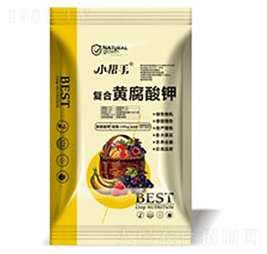 ��(f��)���S�����-����������