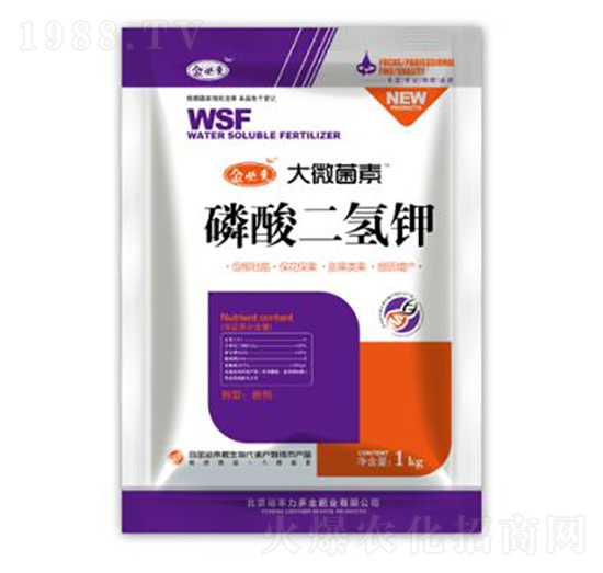 ��������-��΢����-��؁�(l��i)����