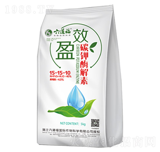 ӯЧ̼�ø����-������