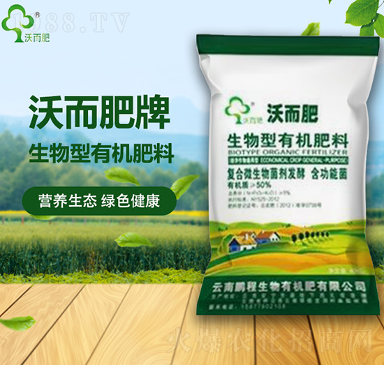 �������ЙC����-�ֶ���-�i������