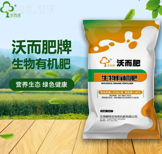 �����ЙC��-�ֶ���-�i������