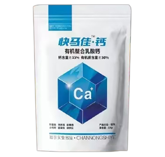 �ЙC(j��)���������}-���R�ѡ��}-��r(n��ng)����