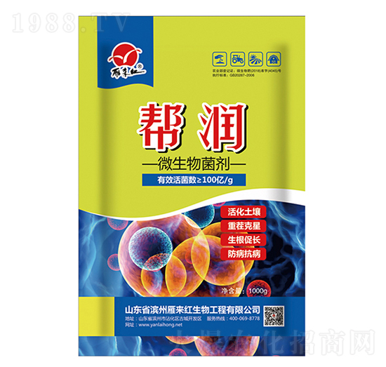 ΢�������-�͝�(r��n)-���(l��i)�t