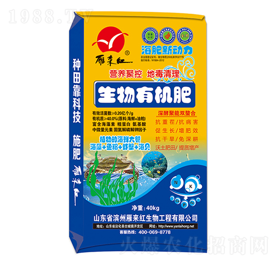 �����ЙC��-��������-����t