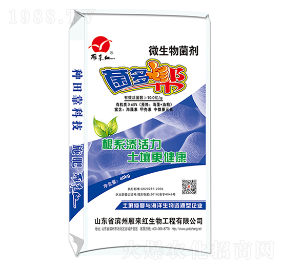 ΢�������-������-����t