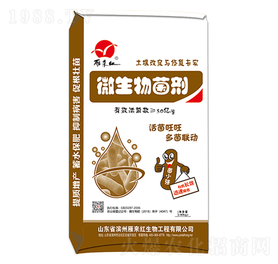 ΢�������-���(l��i)�t