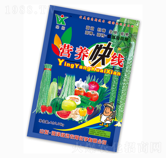 �I(y��ng)�B(y��ng)�쾀-�GѸ