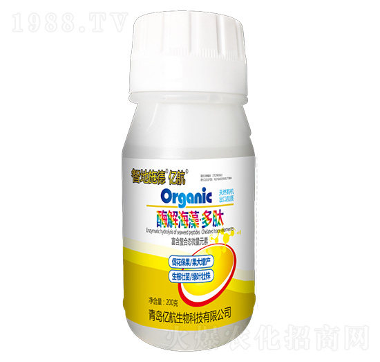 ø�⺣�塤����-�ǵ�ʩ��-�|��