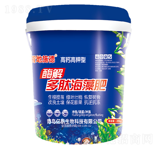 ø����ĺ����-�ǵ�ʩ��-�|��