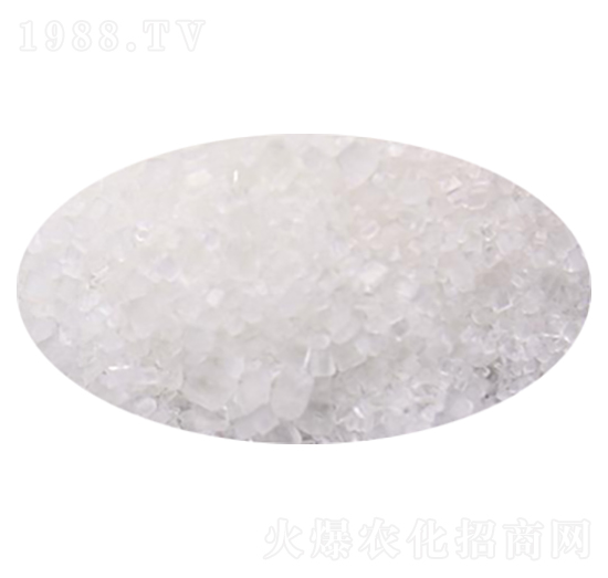 ���w����-����S