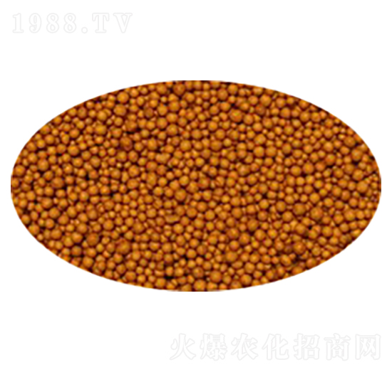 �ߝ�ȿ�ጏ�(f��)�Ϸ�-����