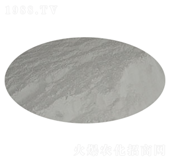 �ۄ���-�،�