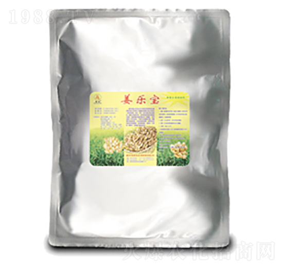 ������-��(gu��)̩��