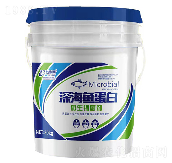 ΢�������-��~����-�����R