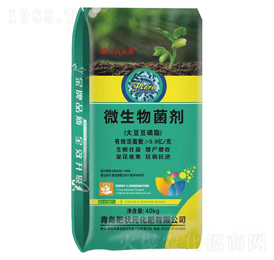 ΢����������󶹶���֬��-��Ԫ��Ԫ��-�ʠ�Ԫ