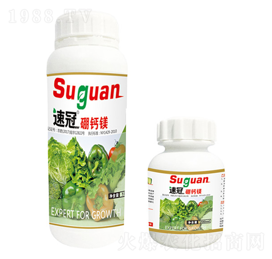 �ٹ����w���}�V-�r��