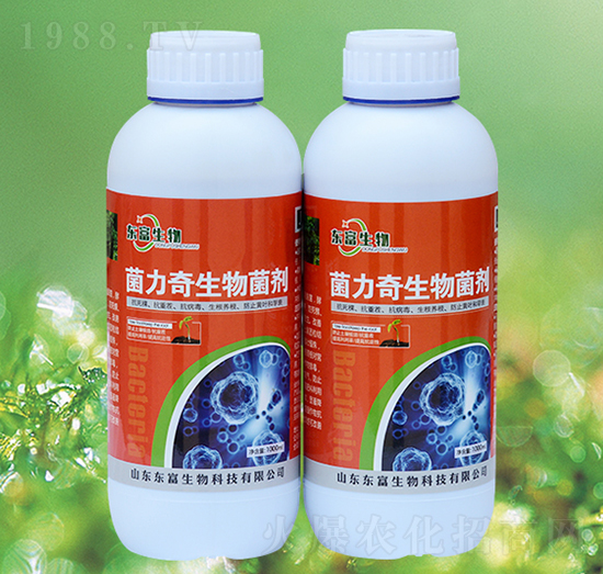 ���������������ƿ��-�|������