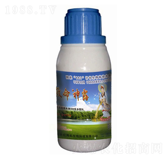 ϡ��������¶����-��������