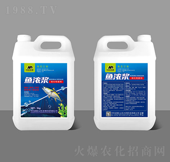 ΢�������-�~��{-�п��Z��