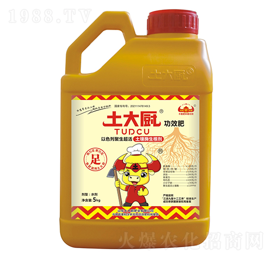 ����ø������-����N