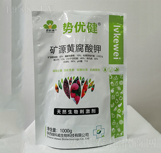 �VԴ�S�����-��(sh��)��(y��u)��-�G����