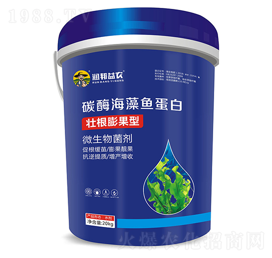 ̼ø�����~����-�������r(n��ng)