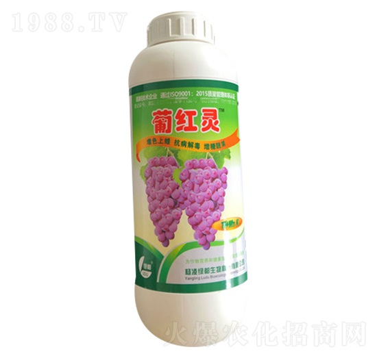 �ϼt�`-�G��