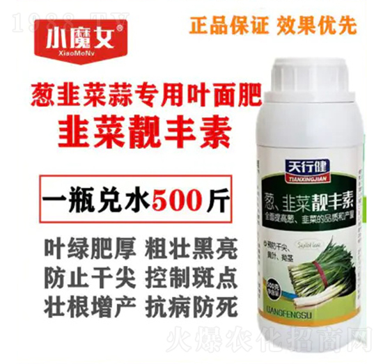 �[�²��⌣(zhu��n)���~���-�²��n�S��-���н�