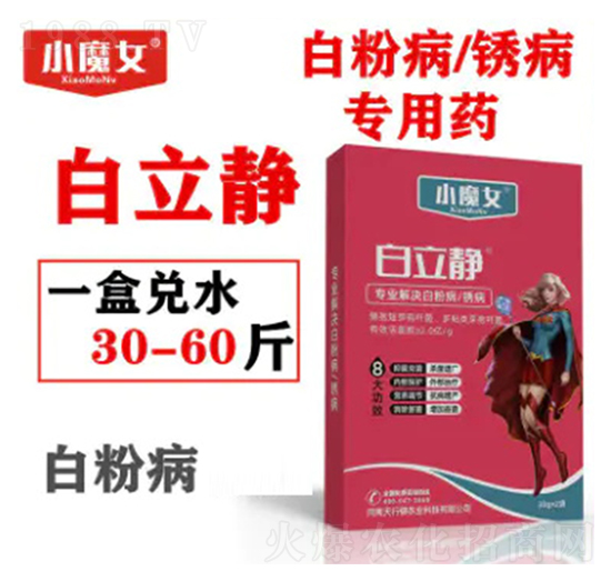 �׷۲����P����(zhu��n)��ˎ-�����o-СħŮ-���н�