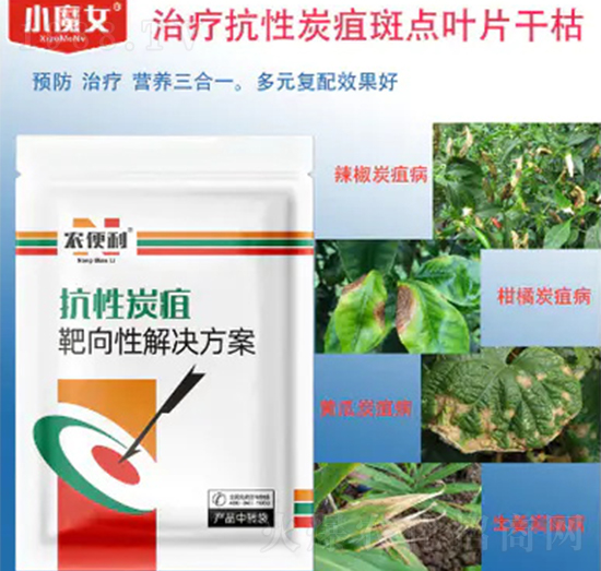 ����̿�Ұ����Խ�Q����-�r(n��ng)����-���н�