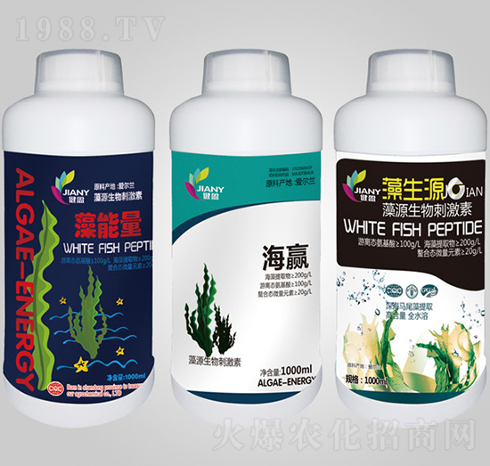 ������+���x�İ�����-��ٝ