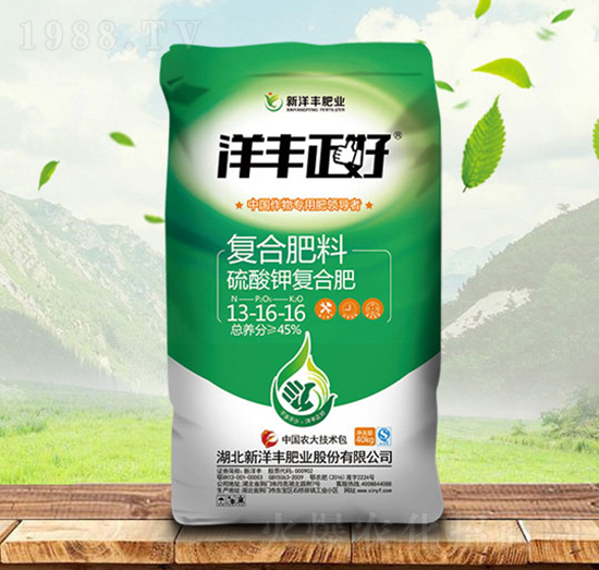 ������͏ͺϷ���13-16-16-���S-����r�Y