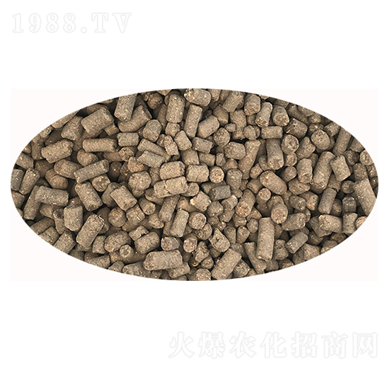 �w���������-ϲ��������