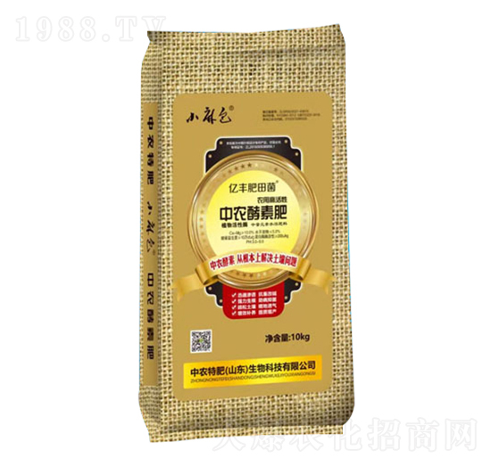 ���r���ط�-���r�ط�