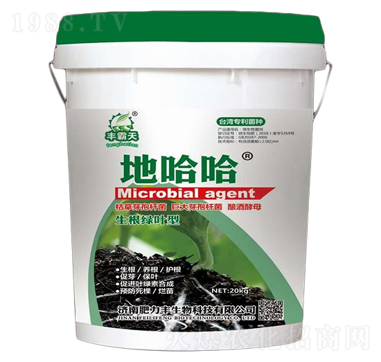 �����G�~��΢�������-�ع���-�����S