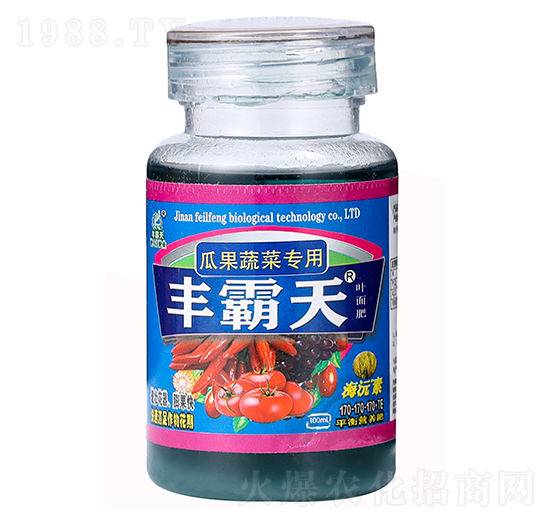 �Ϲ��߲ˌ����~���-�S����-�����S