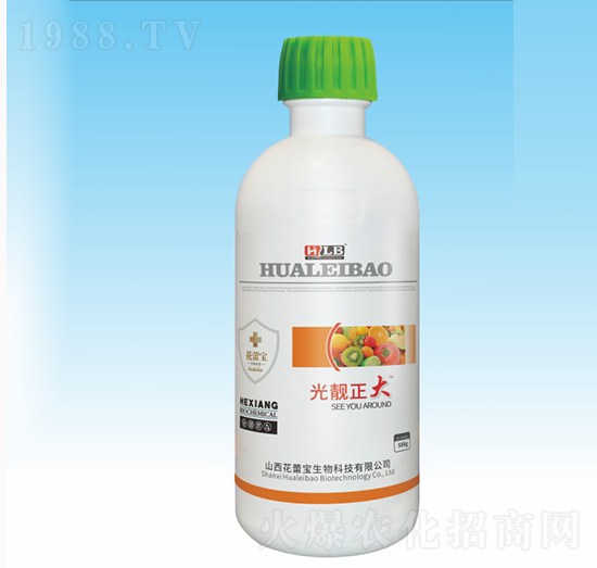 ���n����-���ٌ�����