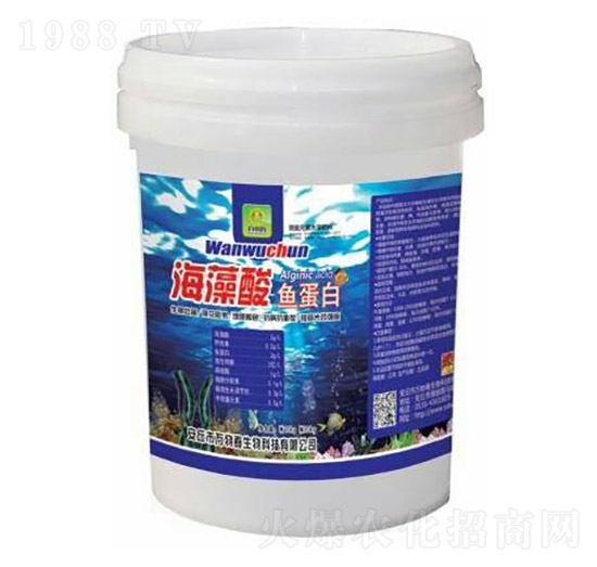 �������~(y��)����-�f(w��n)�ﴺ