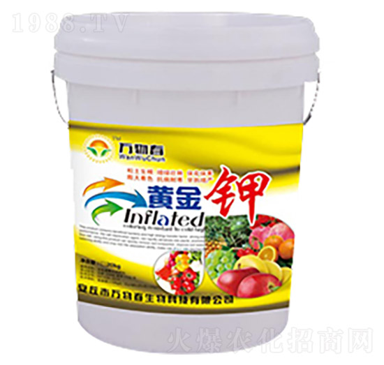 20kg�S���-�f�ﴺ