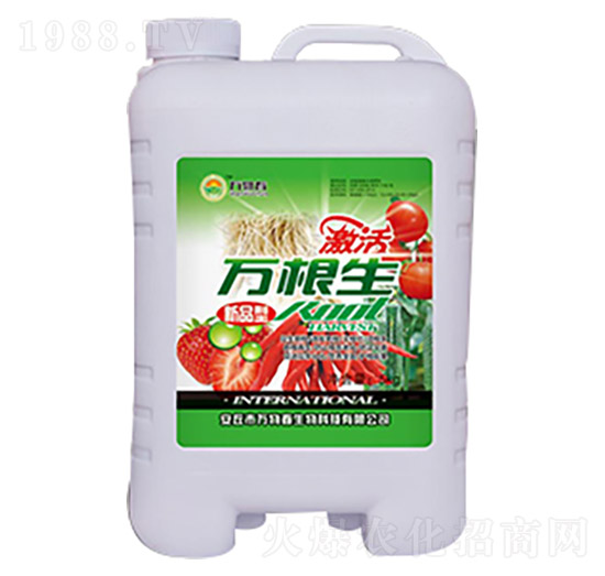 ��ݮ�����f����-�f�ﴺ